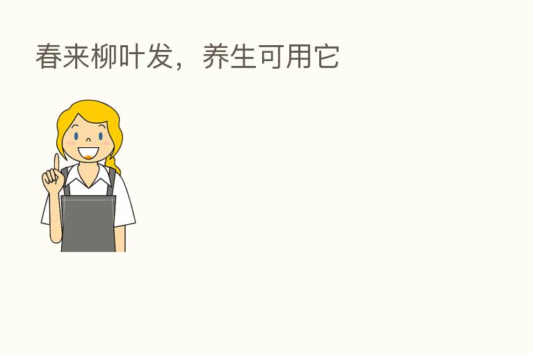 春来柳叶发,养生可用它