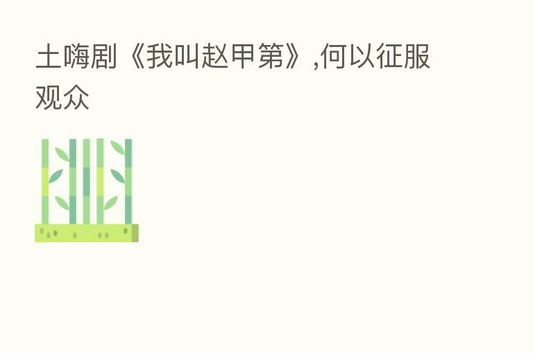 土嗨剧《我叫赵甲   》,何以征服观众