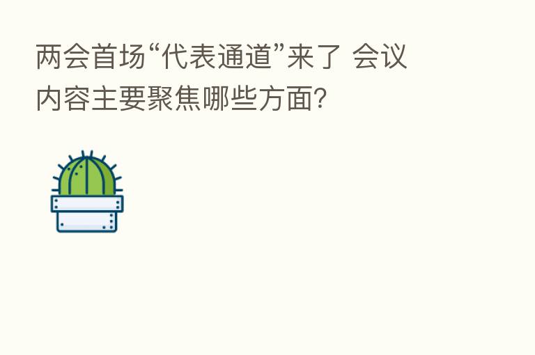 两会首场“代表通道”来了 会议内容主要聚焦哪些方面?