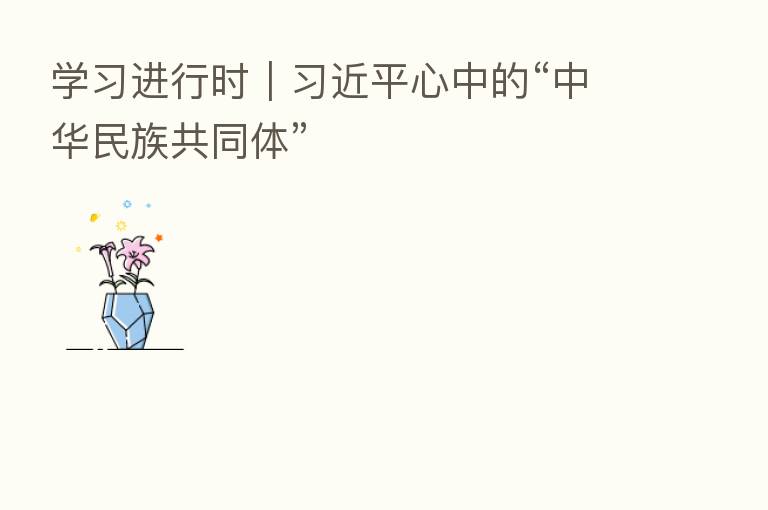 学习进行时｜         心中的“中华民族共同体”
