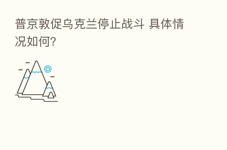 普京敦促乌克兰停止战斗 具体情况如何?