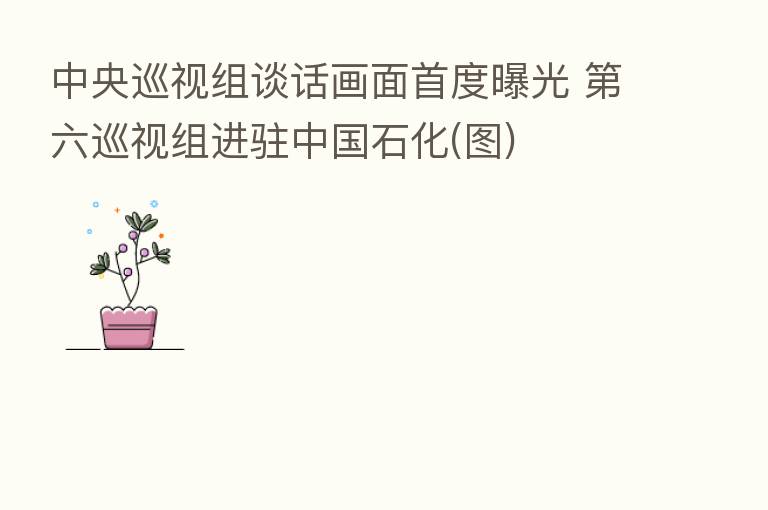 中央巡视组谈话画面首度曝光 六巡视组进驻中国石化(图)