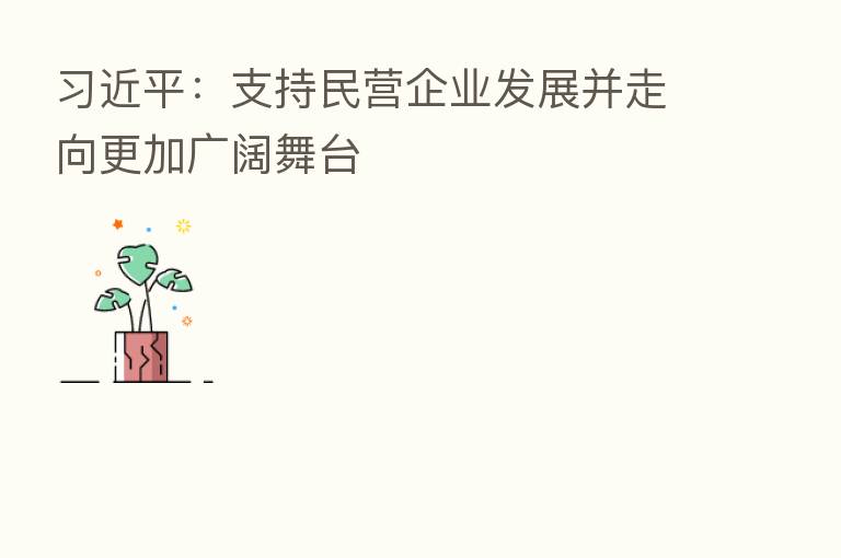 :支持民营企业发展并走向更加广阔舞台