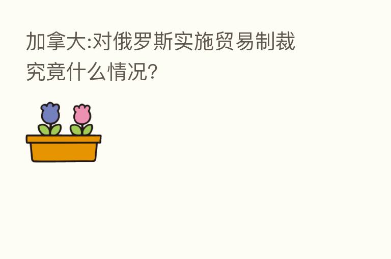 加拿大:对俄罗斯实施贸易制裁 究竟什么情况？
