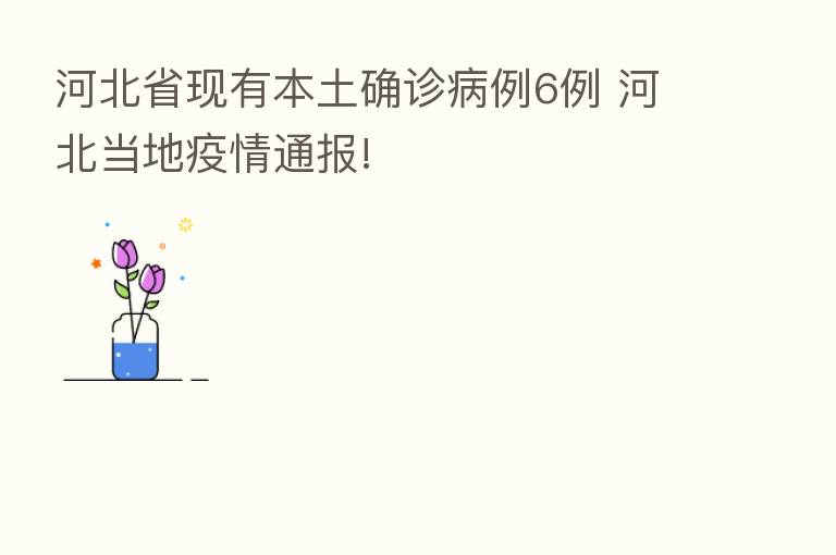 河北省现有本土确诊病例6例 河北当地疫情通报!