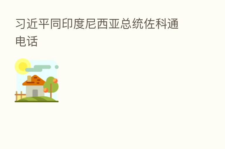 同印度尼西亚总统佐科通电话