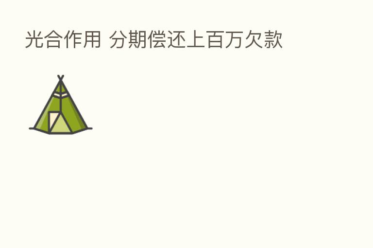 光合作用 分期偿还上白万欠款