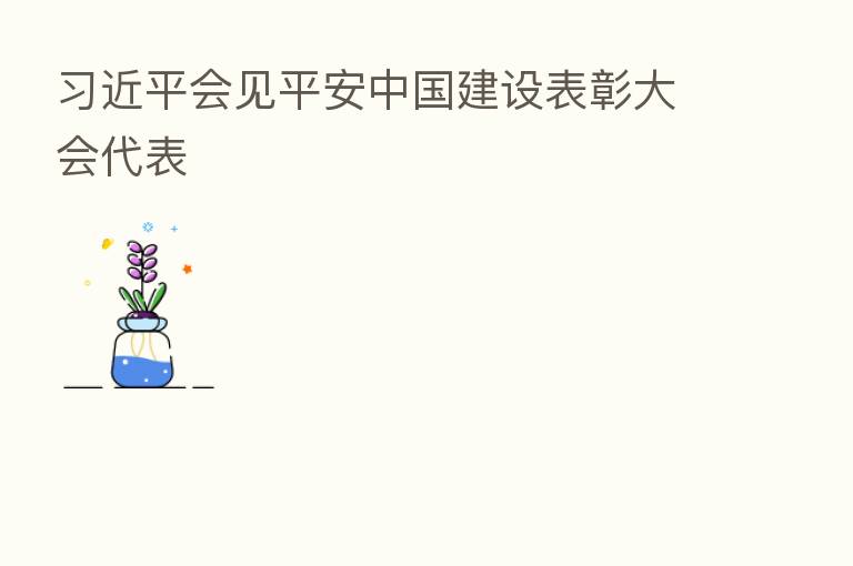 会见平安中国建设表彰大会代表