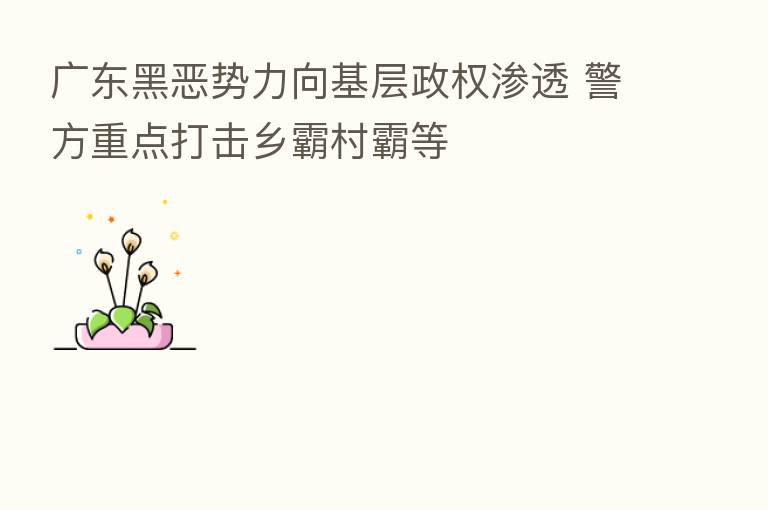 广东黑恶势力向基层政权渗透 警方重点打击乡霸村霸等