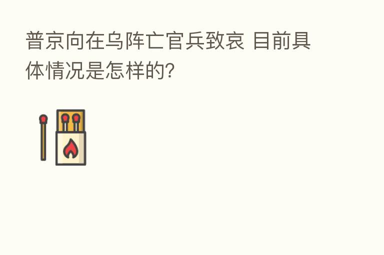 普京向在乌阵亡官兵致哀 目前具体情况是怎样的?