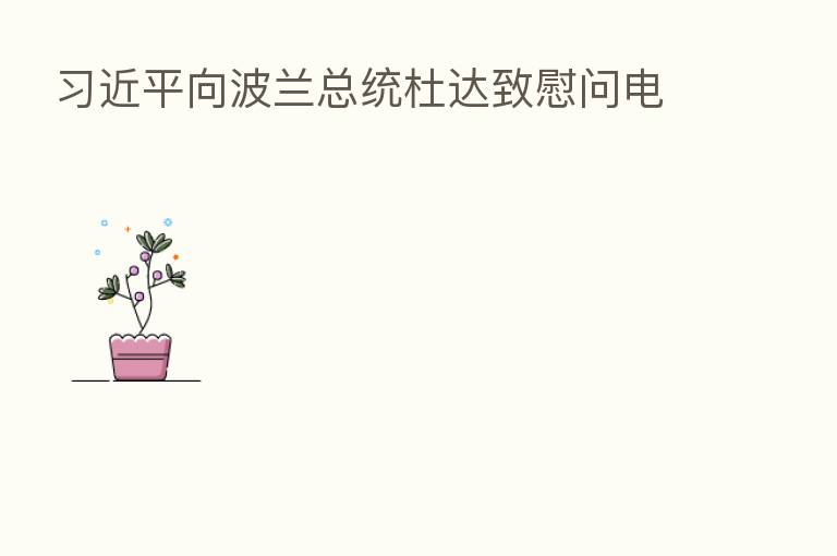 向波兰总统杜达致慰问电