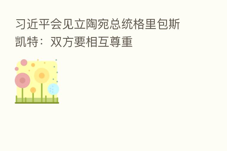 会见立陶宛总统格里包斯凯特:双方要相互尊重