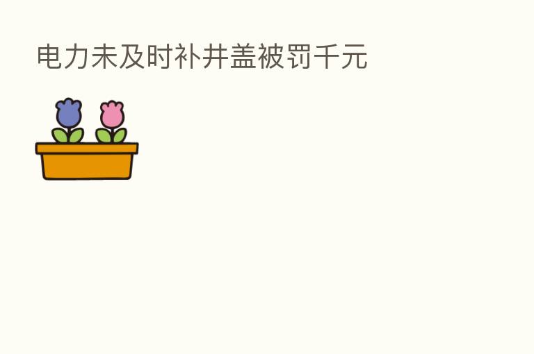 电力未及时补井盖被罚千元