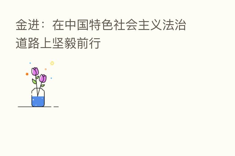 金进:在中国特色社会主义法治道路上坚毅前行