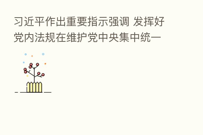 作出重要指示强调 发挥好党内法规在维护党中央集中统一领导 保障党长期执政和国家长治久安方面的重大作用