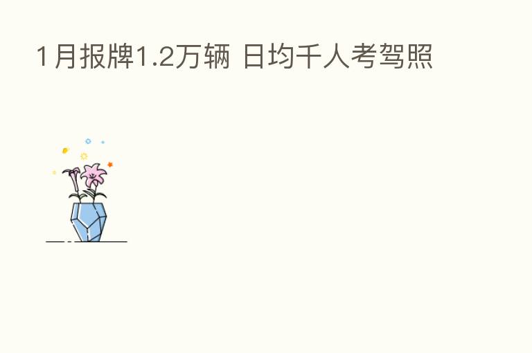 1月报牌1.2万辆 日均千人考驾照