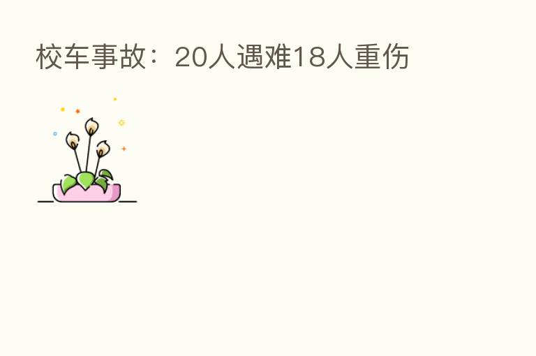 校车事故:20人遇难18人重伤