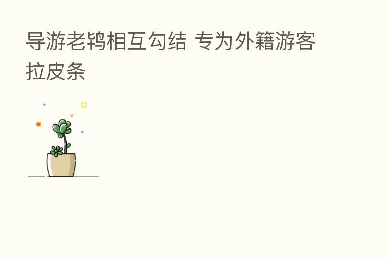 导游老鸨相互勾结 专为外籍游客拉皮条