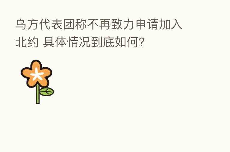 乌方代表团称不再致力申请加入北约 具体情况到底如何？