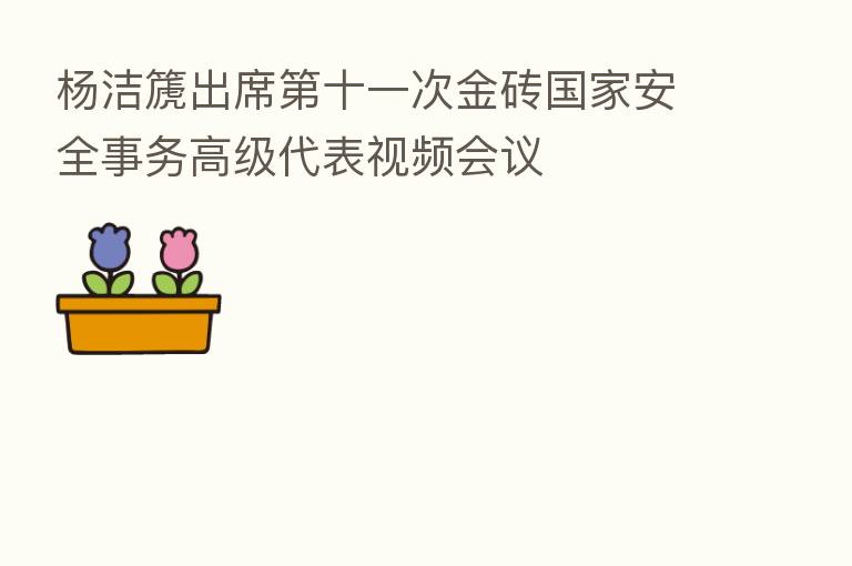 杨洁篪出席 十一次金砖国家安全事务高级代表视频会议