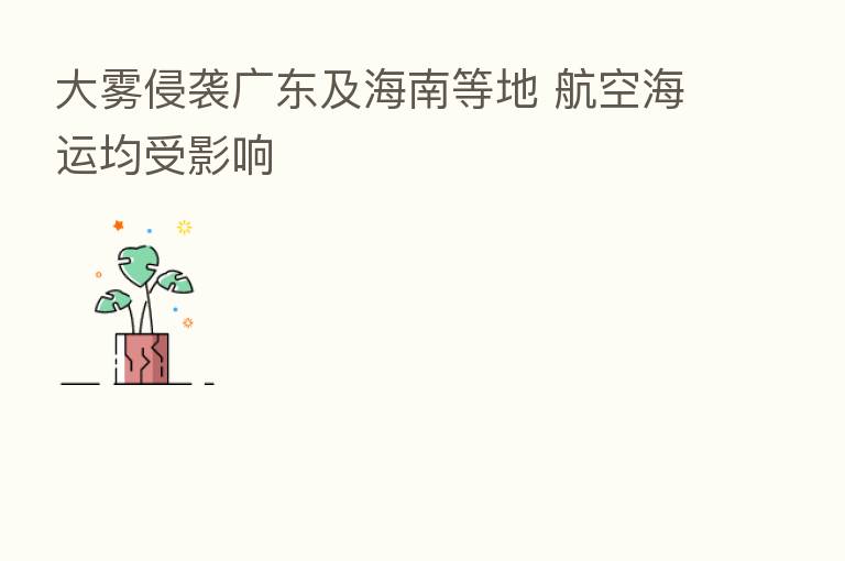 大雾侵袭广东及海南等地 航空海运均受影响