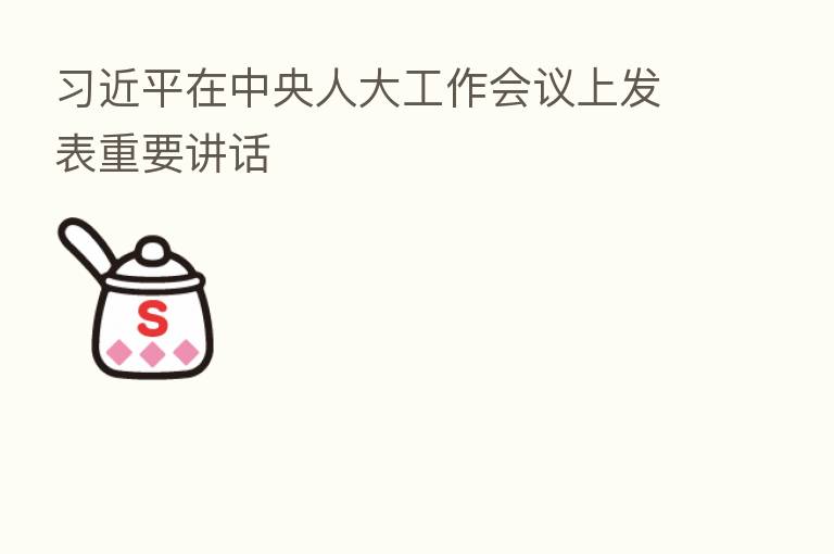          在中央人大工作会议上发表重要讲话