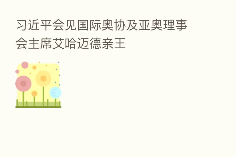          会见国际奥协及亚奥理事会主席艾哈迈德亲王