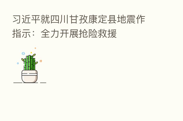 就四川甘孜康定县地震作指示:全力开展抢险救援