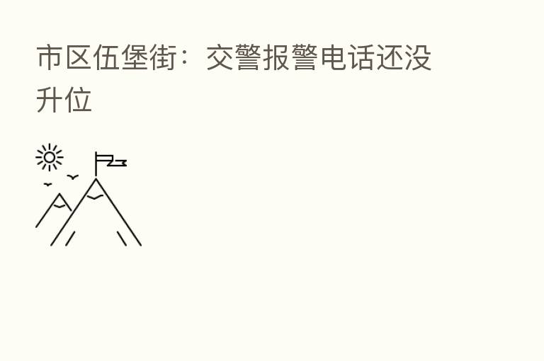 市区伍堡街：交警报警电话还没升位