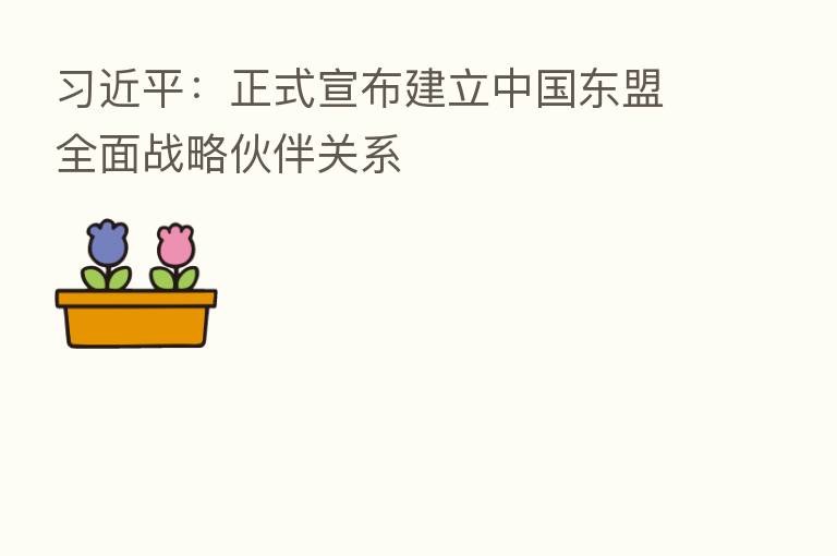          ：正式宣布建立中国东盟全面战略伙伴关系