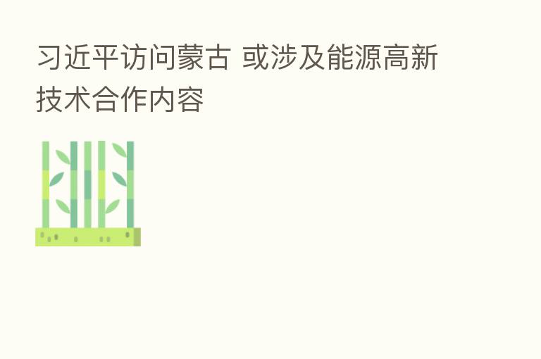          访问蒙古 或涉及能源高新技术合作内容