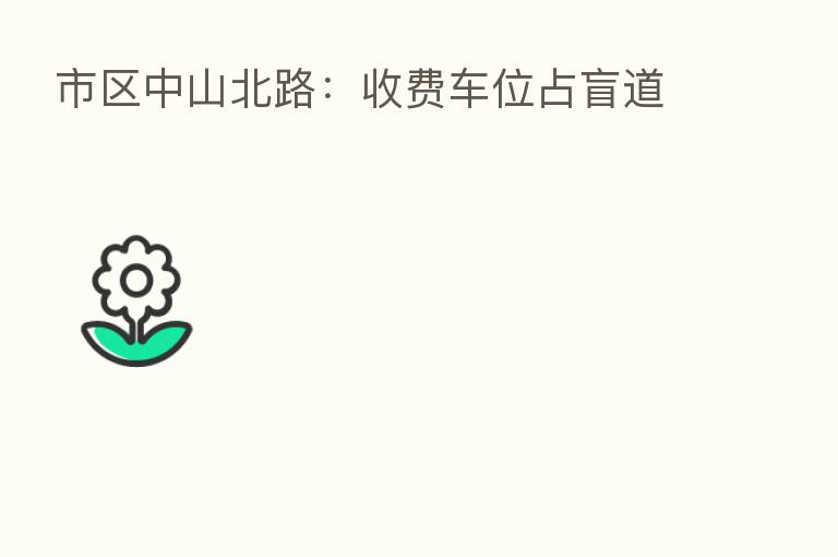 市区中山北路：收费车位占盲道