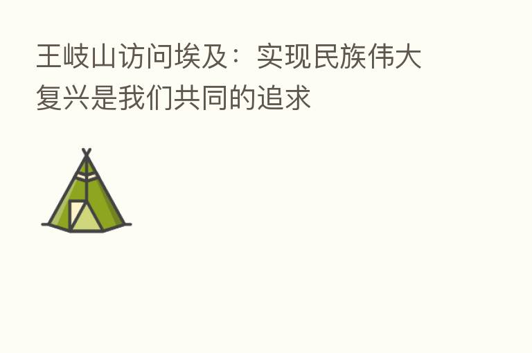          访问埃及：实现民族伟大复兴是我们共同的追求
