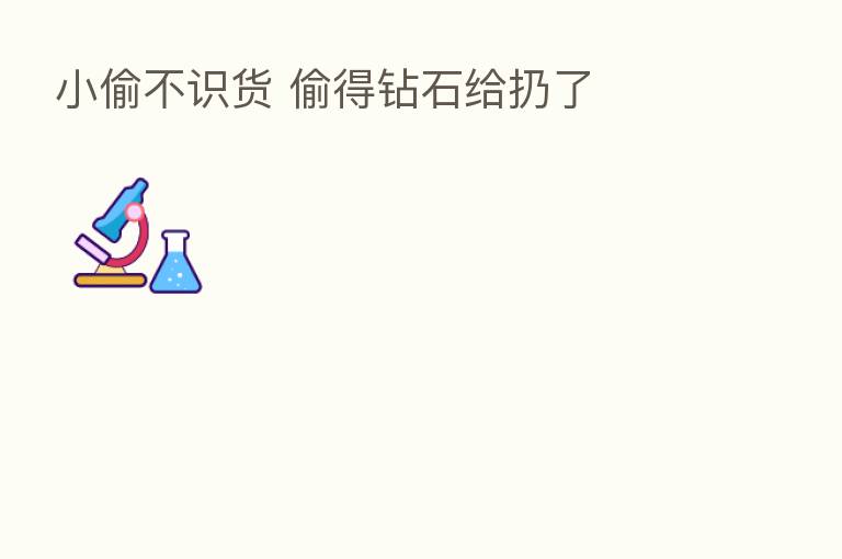 小偷不识货 偷得钻石给扔了