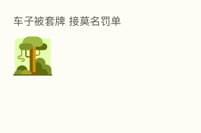 车子被套牌 接莫名罚单