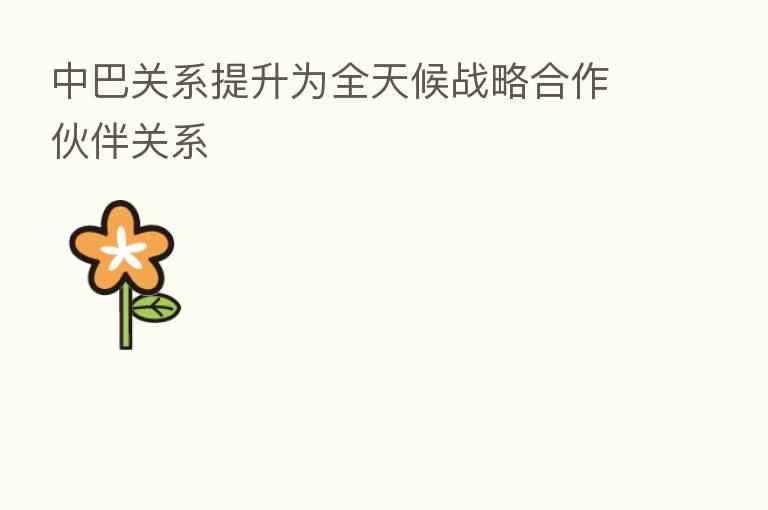 中巴关系提升为全天候战略合作伙伴关系