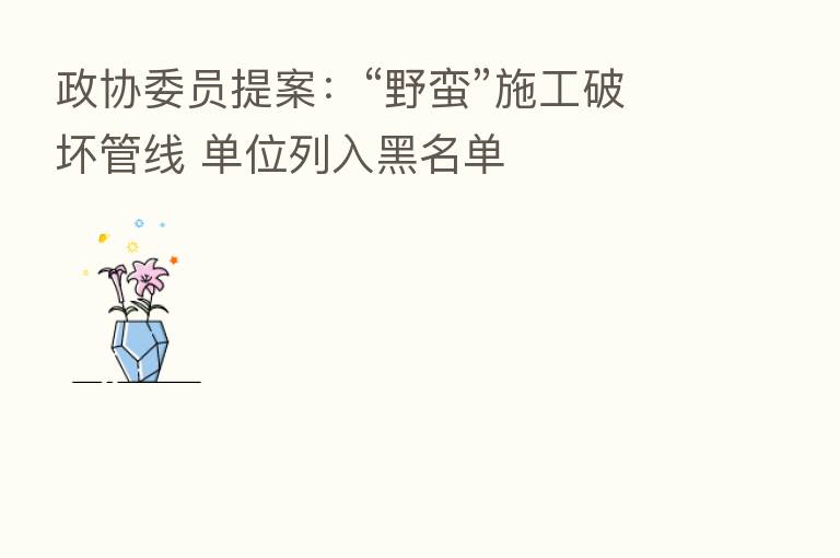 政协委员提案：“野蛮”施工破坏管线 单位列入黑名单