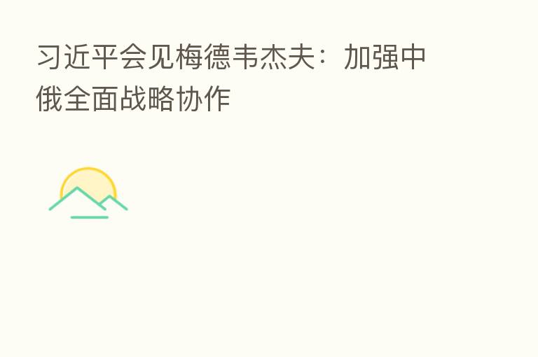          会见梅德韦杰夫：加强中俄全面战略协作