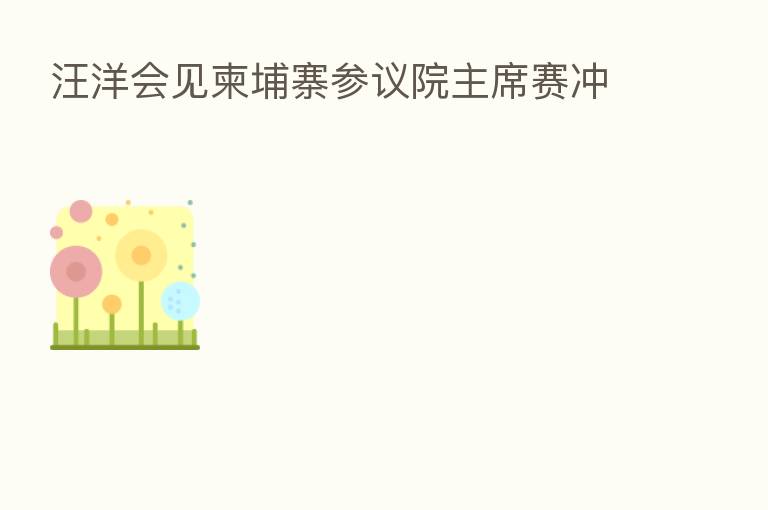 汪洋会见柬埔寨参议院主席赛冲