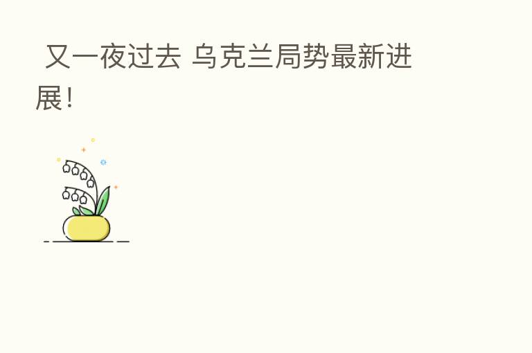  又一夜过去 乌克兰局势新   进展！