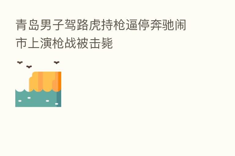 青岛男子驾路虎持枪逼停奔驰闹市上演枪战被击毙