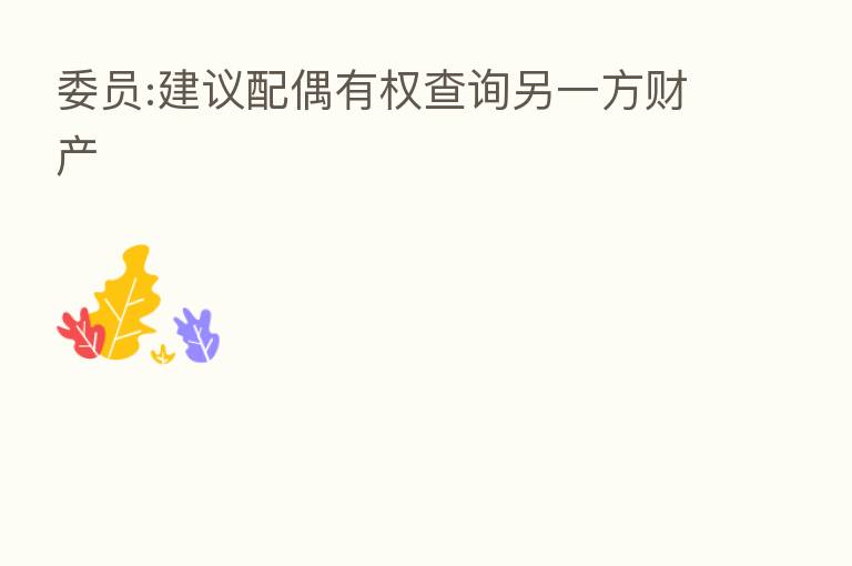 委员:建议配偶有权查询另一方财产