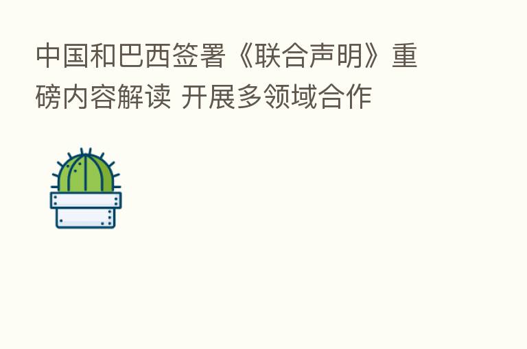 中国和巴西签署《联合声明》重磅内容解读 开展多领域合作