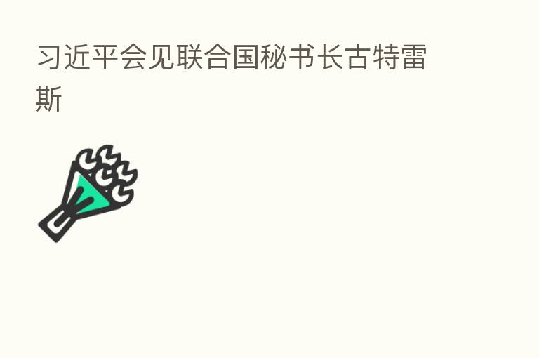 会见联合国秘书长古特雷斯