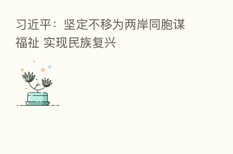          ：坚定不移为两岸同胞谋福祉 实现民族复兴