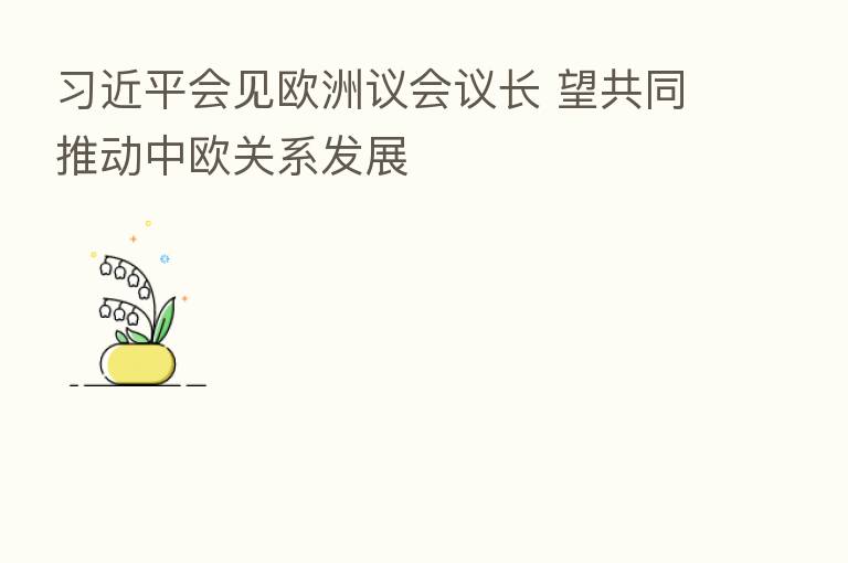 会见欧洲议会议长 望共同推动中欧关系发展