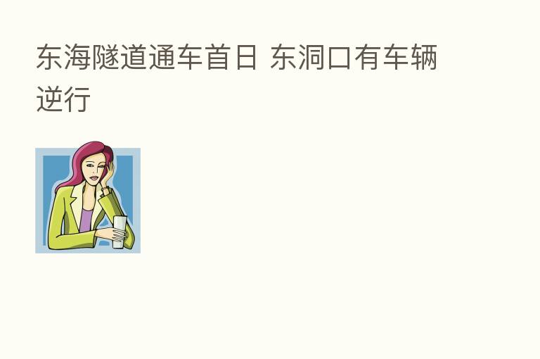 东海隧道通车首日 东洞口有车辆逆行