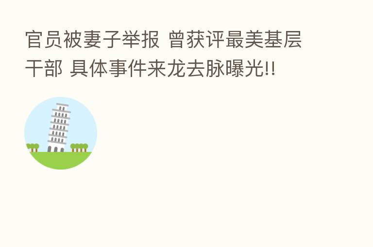 官员被妻子举报 曾获评   美基层干部 具体事件来龙去脉曝光!!
