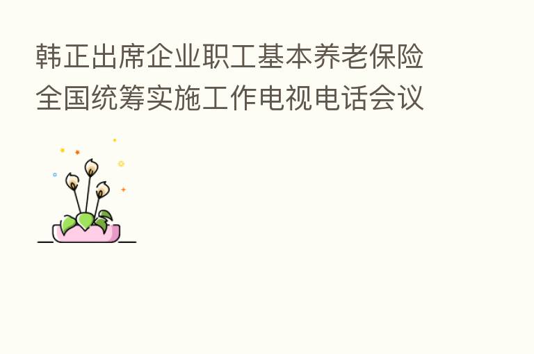 韩正出席企业职工基本养老 全国统筹实施工作电视电话会议