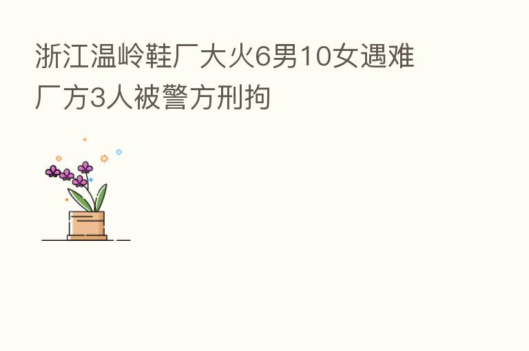 浙江温岭鞋厂大火6男10女遇难 厂方3人被警方刑拘